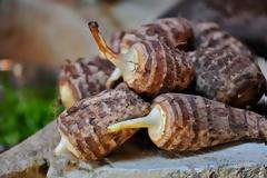 Η υπερτροφή που καλλιεργείται στην Ικαρία και θεωρείται ένα από τα μυστικά της μακροζωίας των Ικαριωτών