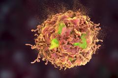 Οι 9 τροφές που σας προστατεύουν από τον καρκίνο