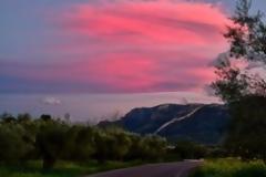 Σχεδόν 600 είδη φυτών έχουν εξαφανιστεί τα τελευταία 250 χρόνια