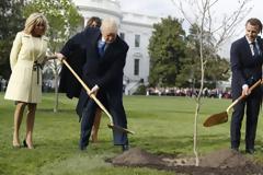 Δεν άντεξε η βελανιδιά που φύτεψαν Τραμπ και Μακρόν στον Λευκό Οίκο