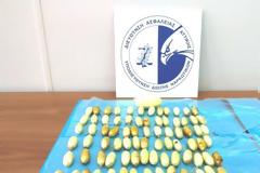 Συνέλαβαν 32χρονη Βραζιλιάνα στο «Ελ. Βενιζέλος»