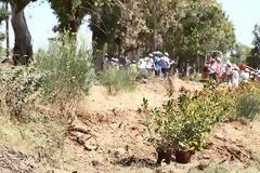 Η ELPEN ξανακάνει «πράσινο» το Νέο Βουτζά