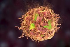 Αυτές οι τροφές προστατεύουν από τον καρκίνο