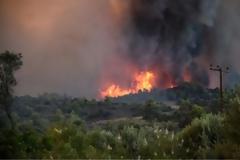 Μεγάλη φωτιά στα Μέγαρα - Καίει δασική έκταση