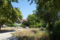 Παιδικές χαρές ζούγκλες στη Ρόδο - φωτος