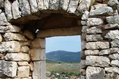 Ιδρύθηκε Πολιτιστικός -Περιβαλλοντικός Σύλλογος στο ΑΡΧΟΝΤΟΧΩΡΙ με την ονομασία 