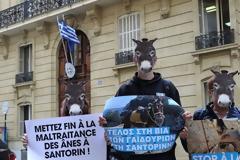 Διαμαρτυρία στο Παρίσι για τα γαϊδουράκια της Σαντορίνης