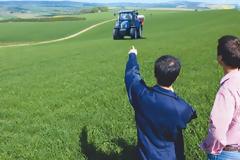 Η Ολλανδία παράγει σε αξία 1700 ευρώ το στρέμμα, το Ισραήλ 1290 και η Ελλάδα μόλις 190…