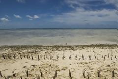 «Σαχάρα» κινδυνεύει να γίνει το ένα τρίτο της Ελλάδας