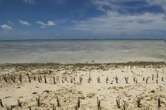 «Σαχάρα» κινδυνεύει να γίνει το ένα τρίτο της Ελλάδας