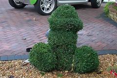 ΑΣΤΕΙΟ! Facts για το πέος: 15 πράγματα που δεν γνωρίζεις για τον «φιλαράκο» σου