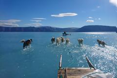 Ανησυχούν οι επιστήμονες: Μέσα σε μόλις 24 ώρες η Γροιλανδία έχασε.. 2 δισ. τόνους πάγου (pics)