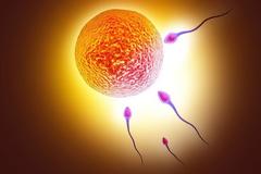 Επτά εχθροί του σπέρματoς υπεράνω υποψίας