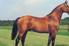 Κοζάνη: Άλογο ...δάγκωσε 70χρονο στον λαιμό