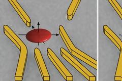 Προσδιορίστηκε για πρώτη φορά η γεωμετρία ενός ηλεκτρονίου που δίνει τη δυνατότητα ελέγχου του σπιν του