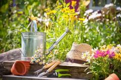 Πώς φυτεύουμε μαρούλι σε γλάστρα και άλλες ερωταπαντήσεις κηπουρικής