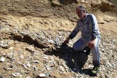 Ένα σπάνιο και άγνωστο «Γεωλογικό πάρκο» στην παραλία της Αγριλιάς, κοντά στο Μύτικα -(φωτο)