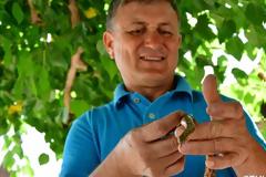 Μικρός «βόας της άμμου» αναστάτωσε χωριό του Ναυπλίου