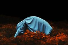 Το κρυφτό της ευθύνης