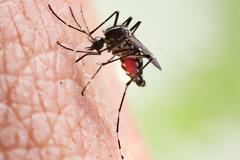 ΕΟΔΥ: Κανένα κρούσμα του ιού του Δυτικού Νείλου στην Ελλάδα το 2019