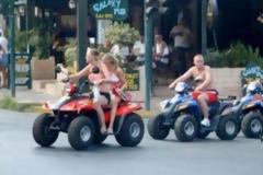 Θερίζουν τα τροχαία με γουρούνες. Ιαβέρης: οι γουρούνες είναι ένα εξολοθρευτικό μηχάνημα