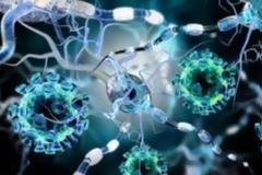 Τα επτά «ωρολόγια του γήρατος»