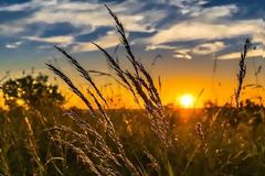 Θερινό ηλιοστάσιο: Σήμερα η μεγαλύτερη ημέρα του έτους - Στις 18.54' ...ξεκινάει επίσημα το καλοκαίρι