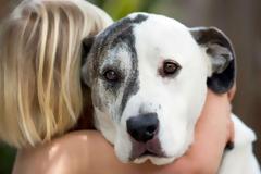 Τι σημαίνει να σε αγαπάει ένας σκύλος