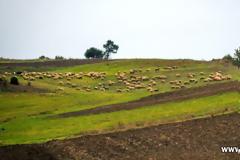 Μια βόλτα από τον Βατόλακκο έως την Κοκκινιά Γρεβενών.. (Φωτογραφίες)