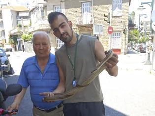 Φωτογραφία για Αγρίνιο: Μεγάλο φίδι τρύπωσε σε μηχανάκι...