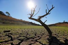 Η δυτική Ευρώπη θα βιώσει ένα πρωτοφανές κύμα καύσωνα την επόμενη εβδομάδα