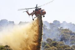 Υπό έλεγχο η φωτιά στο Λαγονήσι - Προσήχθη ένα άτομο