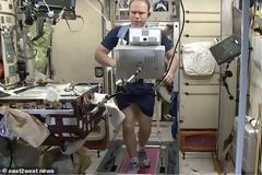 Μόσχα: Ο πρώτος άνθρωπος που θα γεννηθεί στο διάστημα θα είναι Ρώσος πολίτης