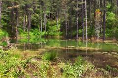 Ιωάννινα: Απαγόρευση κυκλοφορίας σε εθνικούς δρυμούς και δάση μετά τη δύση του ηλίου