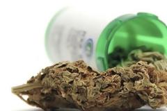 Άδεια για καλλιέργεια και μεταποίηση φαρμακευτικής κάνναβης στο Αιτωλικό