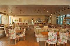 Ένα site με όλα τα vegetarian και vegan μαγαζιά του κόσμου!