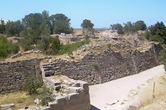 Το γένος των Ελλήνων κατά τον Όμηρο