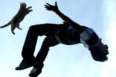 Άνδρας έμαθε παρκούρ όταν πήγε να πετάξει τα σκουπίδια σε κάδο που είχε μέσα γάτα