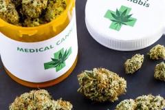 Δέκα οι εταιρίες που έλαβαν άδεια για καλλιέργεια φαρμακευτικής κάνναβης στην Ελλάδα - Ποιες είναι