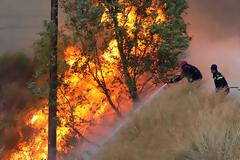 Πολιτική Προστασία: Πολύ υψηλός κίνδυνος πυρκαγιάς σήμερα Τρίτη – Ποιες περιοχές κινδυνεύουν