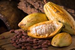 Η τροπική υπερτροφή που αναστρέφει την παχυσαρκία