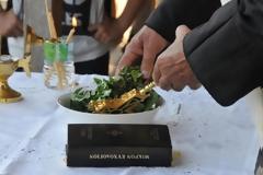 Αγιασμός για να ...σωθεί το Σέιχ Σου από το έντομο - 