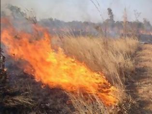 Φωτογραφία για Έκαψαν χωρίς άδεια καλαμιές στα χωράφια τους, χάνουν τις κοινοτικές επιδοτήσεις
