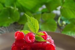 Τρόφιμα απαγορευμένα!