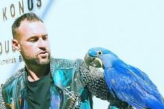 Ο παπαγάλος των 30.000 ευρώ και άλλες ιστορίες τρέλας