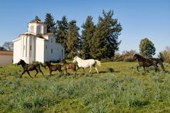 Πέτρου και Παύλου: Το λαμπρό Μοναστήρι Αγίων Αποστόλων Λιθαρίου