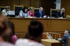 Μιχάλαρος στη δίκη της Χρυσής Αυγής: Δεν γνωρίζω για τη δολοφονία Φύσσα