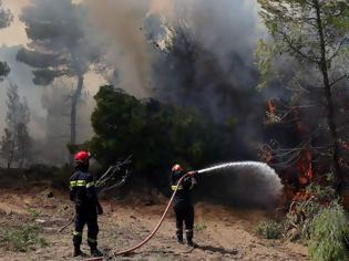 Φωτογραφία για Υψηλός κίνδυνος πυρκαγιάς σήμερα στα Δωδεκάνησα