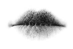 Τεστ: Εσείς τι βλέπετε σε αυτή τη φωτό; -Τι φανερώνει για την προσωπικότητά σας η απάντησή σας