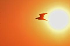 Κλιματική αλλαγή: Περισσότερες ζεστές μέρες και λιγότερες κρύες νύχτες στην Ελλάδα